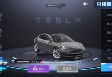 風雲特斯拉model3冷光銀頂配轎車皮膚無人租一直玩