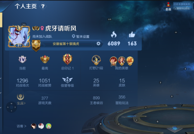 市级斐擒虎丨历史国服最强老虎丨历史万战截图必备丨抢先服