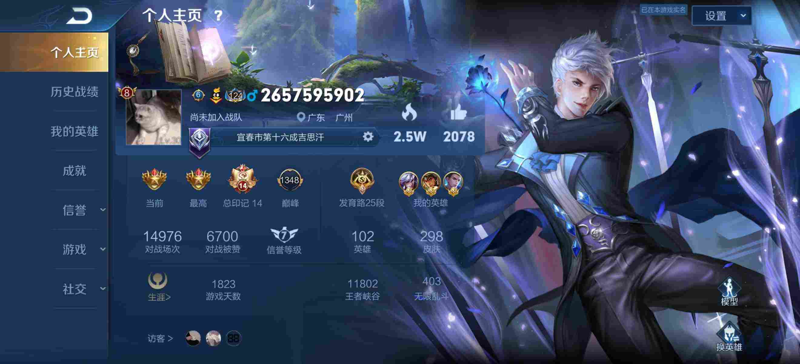 299皮肤极品荣耀王者号v8粉色海洋之心金色仲夏夜白虎志凤求凰纯白花